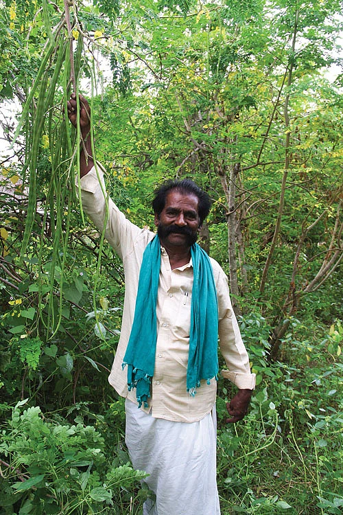 அழகர்சாமி