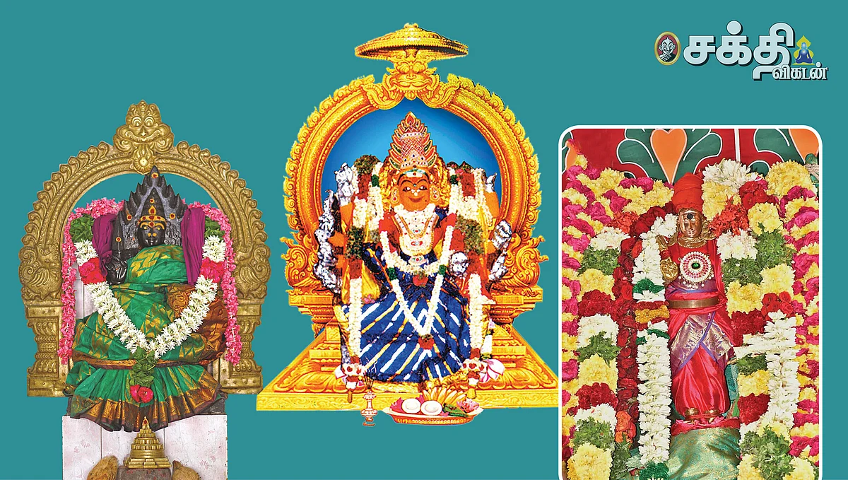 ஆறாவது நாள் சிறப்புகள்