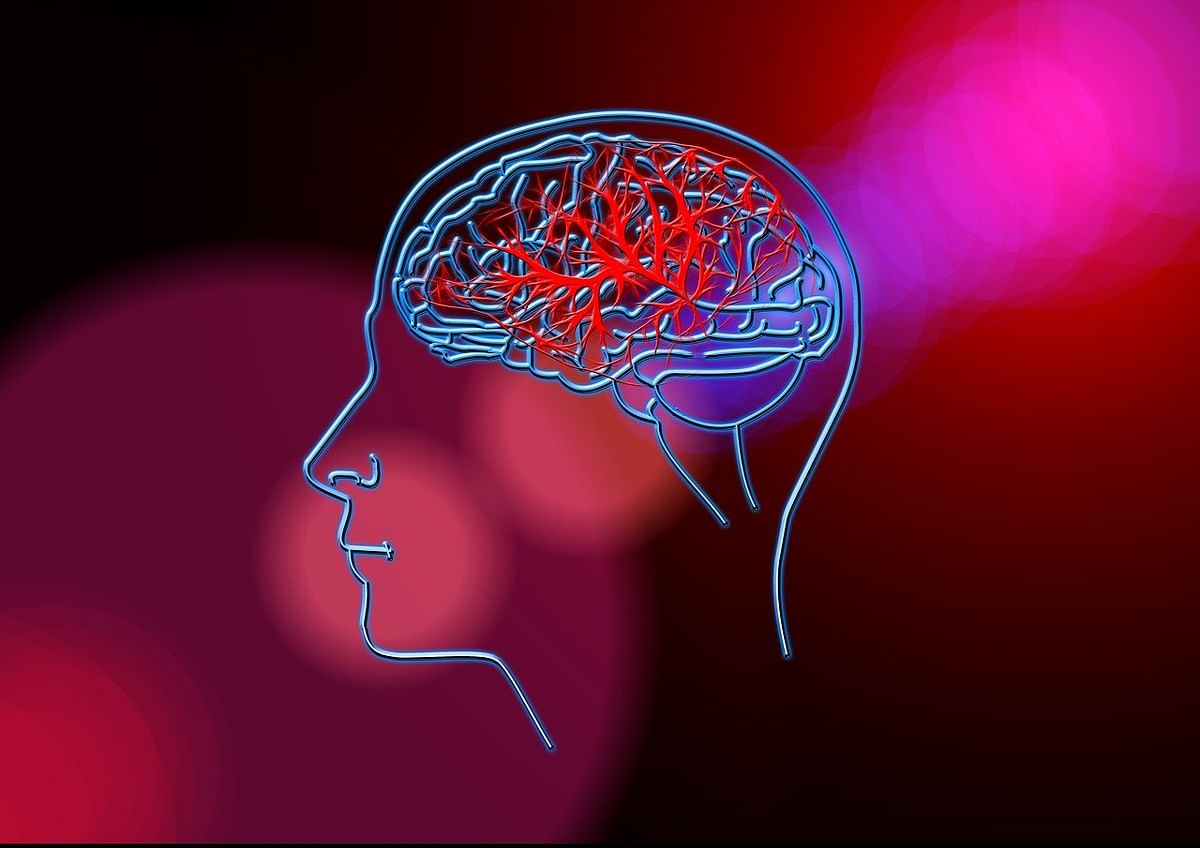Brain - Representational Image