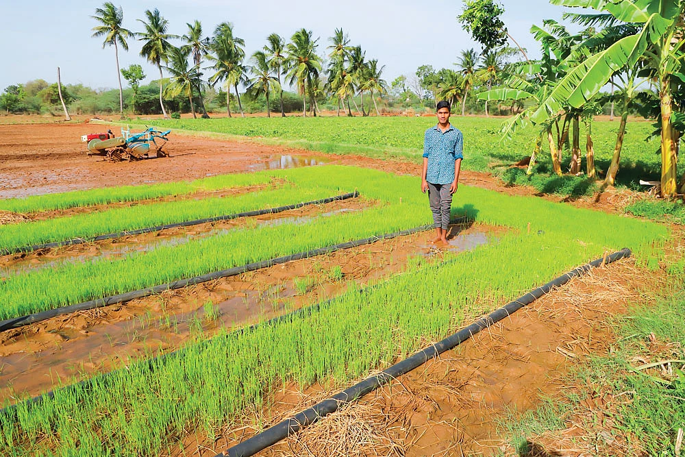வயலில் நித்திஷ்
