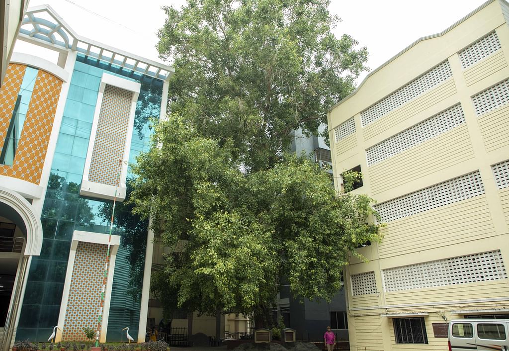 இந்திரா காந்தி கல்லூரி, திருச்சி