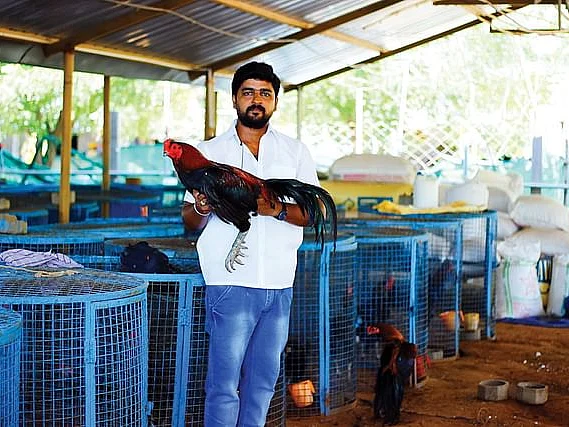 கட்டுத்தரை சேவல்கள், கோழிகள் வளர்ப்பில் லட்சங்களில் வருமானம் - அசத்தும் கரூர் இளைஞர்!