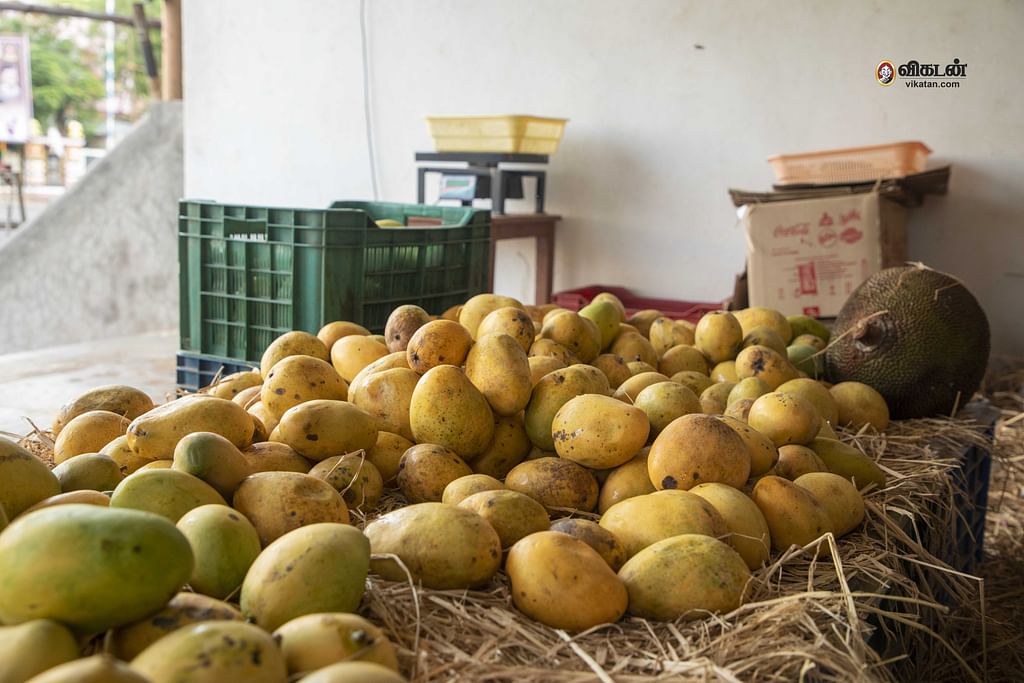 மாம்பழம்