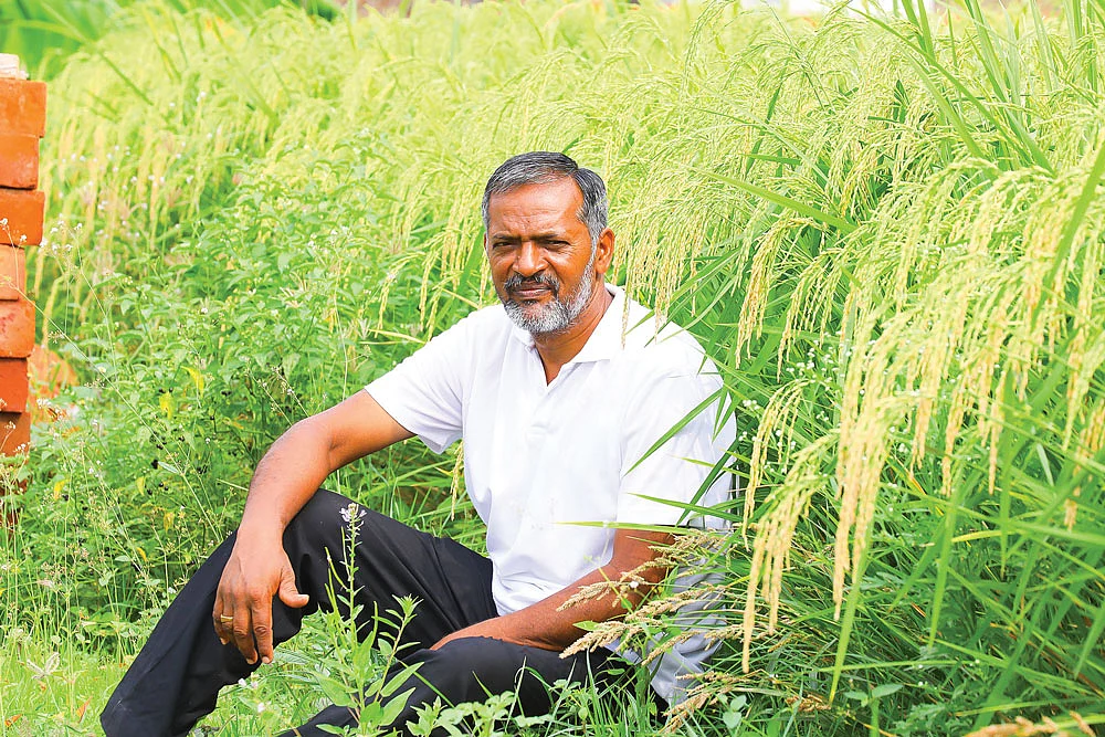 விஸ்வநாதன்