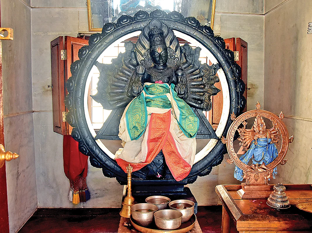 ஸ்ரீமகாசுதர்சன ஹோமம்: துன்பங்கள் தொல்லைகளை அழிக்கும் ஸ்ரீசக்கரத்தாழ்வார்; நீங்களும் சங்கல்பிக்கலாம்!