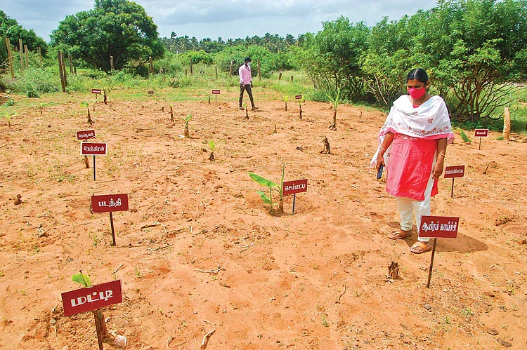 அரசுத் தோட்டக்கலைப் பண்ணை