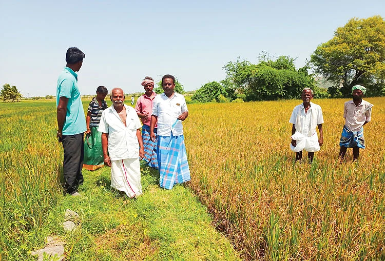 விவசாயிகள்