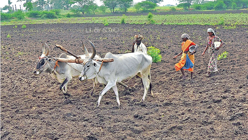100 நாள்களில் 100 புதிய விதை ரகங்கள், பண்ணை தொழில்நுட்பம்... களத்தில் இறங்கும் வேளாண் விஞ்ஞானிகள்!