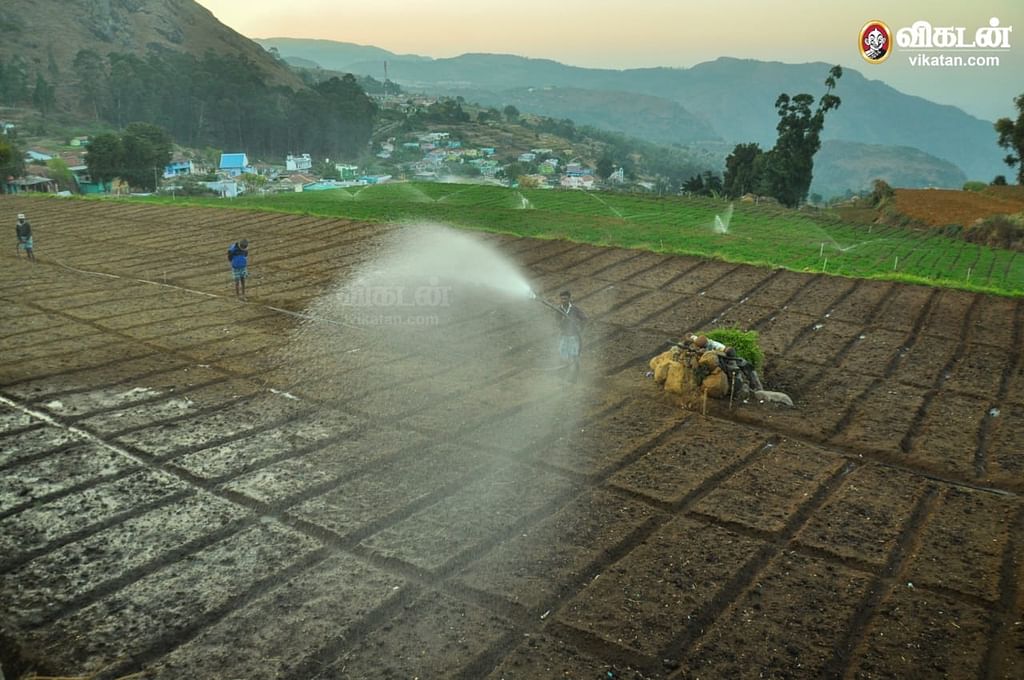 Agriculture