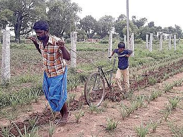 சைக்கிளில் கலப்பையைப் பொருத்தி நூதன விவசாயம்; நேரத்தையும் செலவையும் மிச்சப்படுத்திய பலே விவசாயி!
