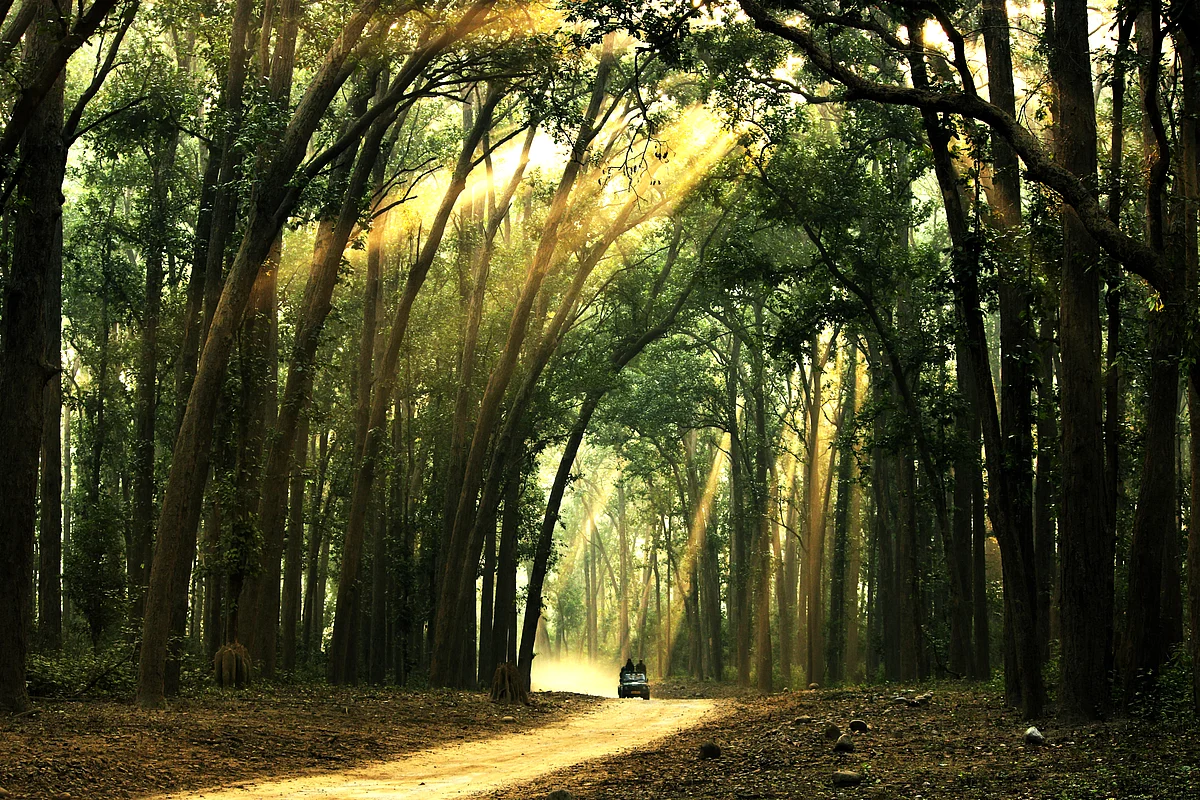 Jim Corbett National Park