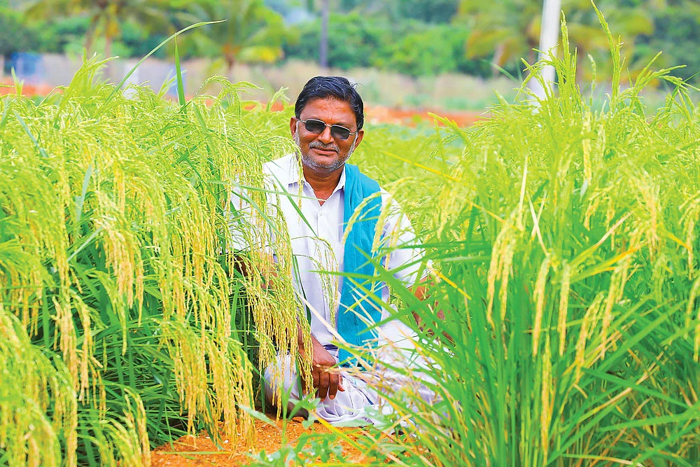 எஸ்.பி.பெருமாள்