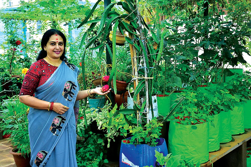 நீங்களும் வீட்டுத் தோட்டம் அமைக்கலாம்! - ஏ டு இஸட் தகவல்கள்