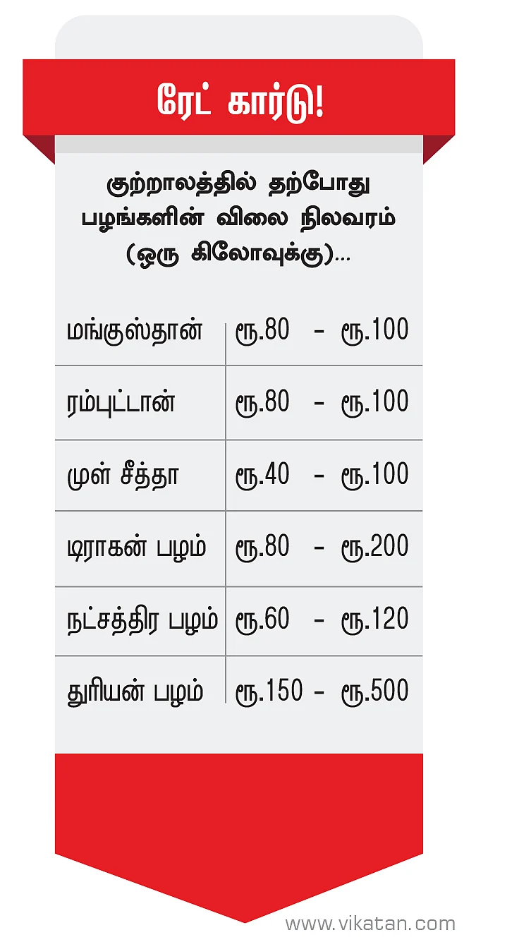2K kids: வனதேவதையின் பரிசு... பழங்கள்!