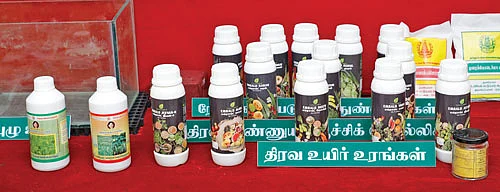 காட்சியகத்தில் உள்ள பொருள்கள்