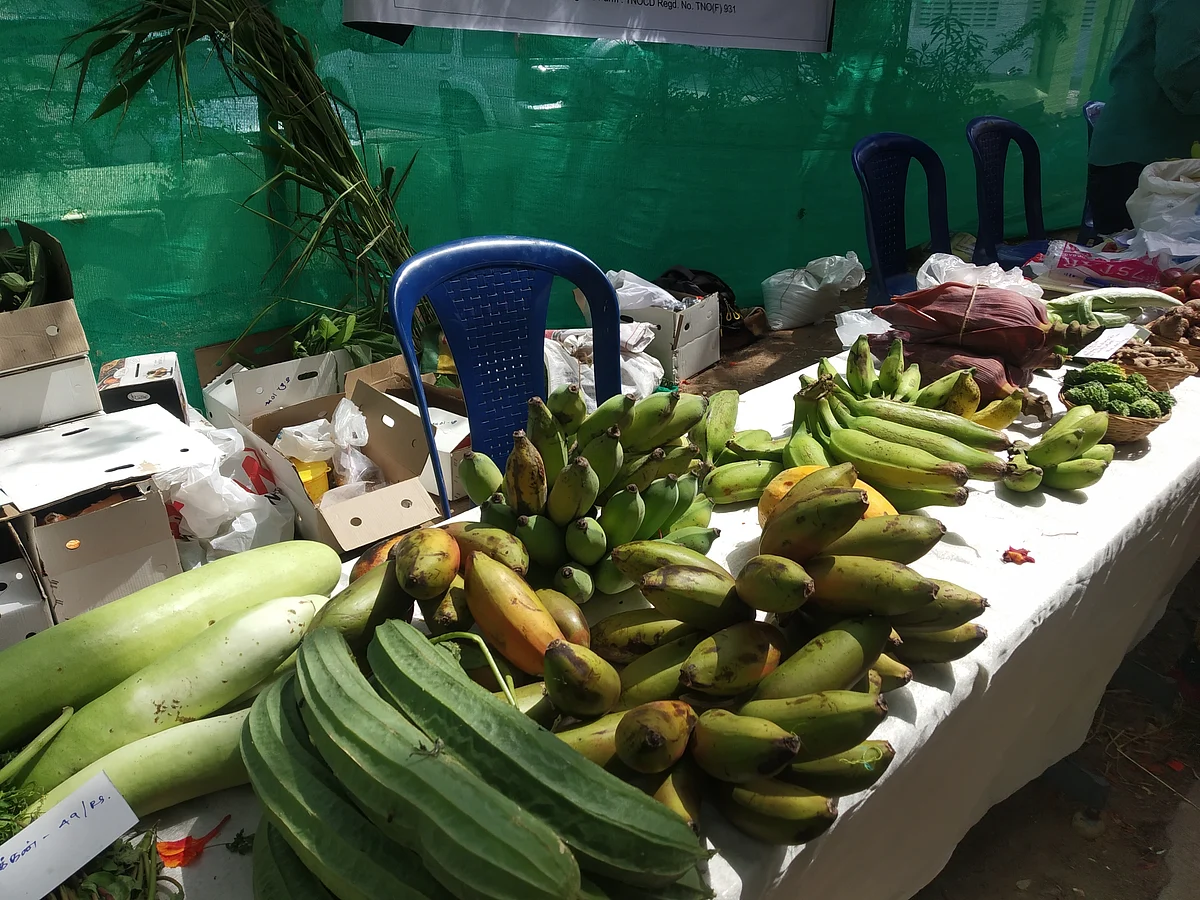 காய்கறிகள்