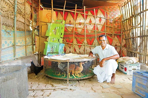 நீள் வட்ட (ஓவல்) வடிவ கூண்டு
