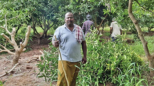 விவசாயி அழகேசன்