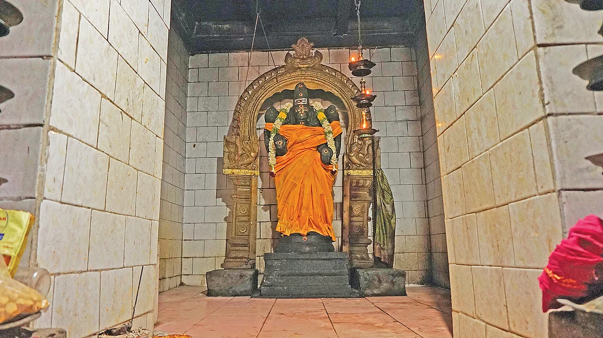வேல்நெடுங்கண்ணி