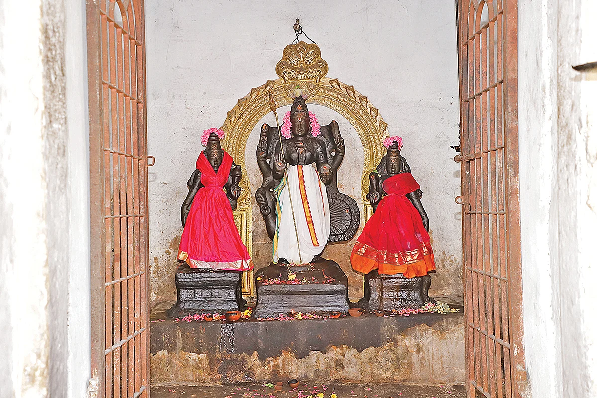 முருகப்பெருமான்