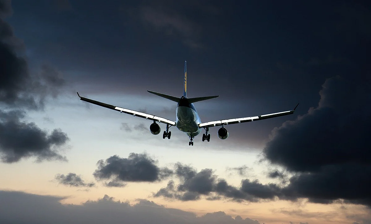 Flight (Representational Image)