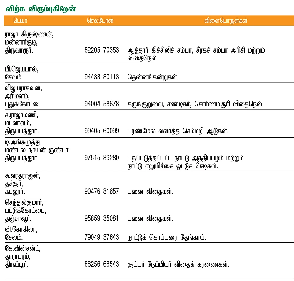 பசுமை சந்தை