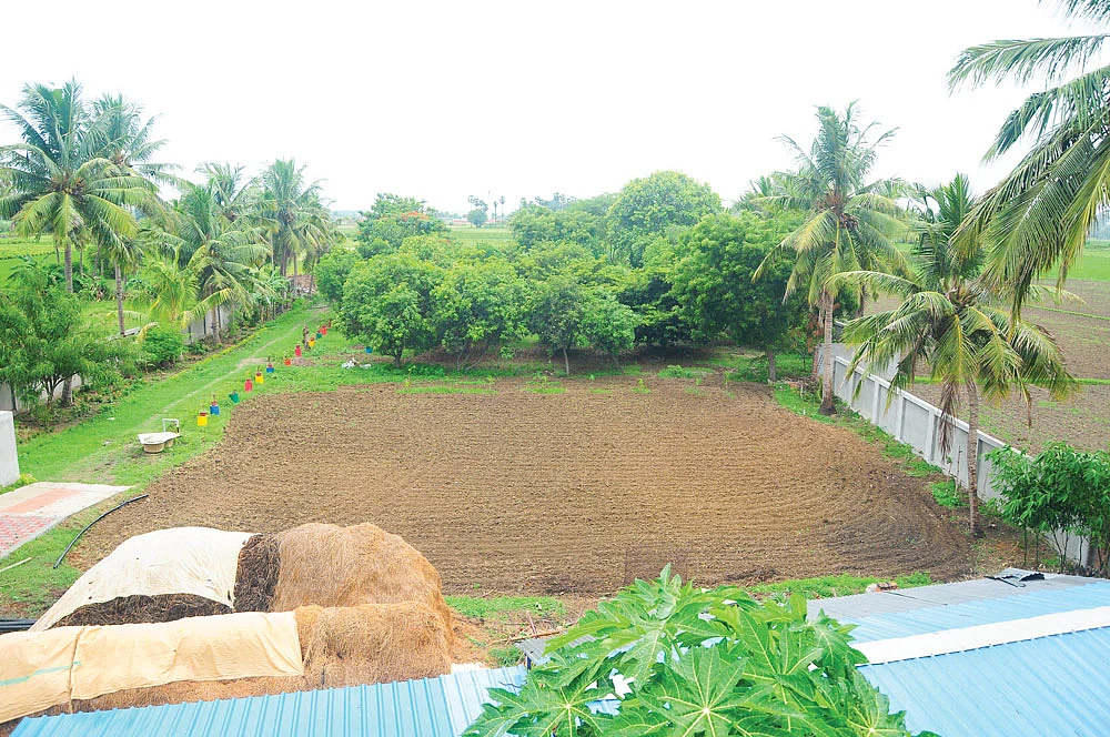 பண்ணையின் வெளிப்புறத் தோற்றம்