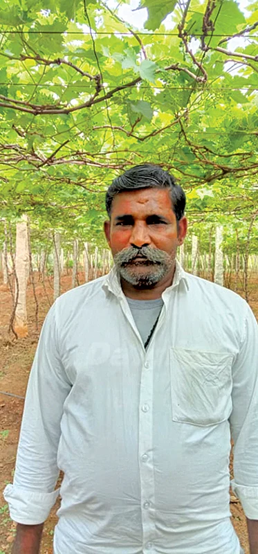 சூசை மாணிக்கம்