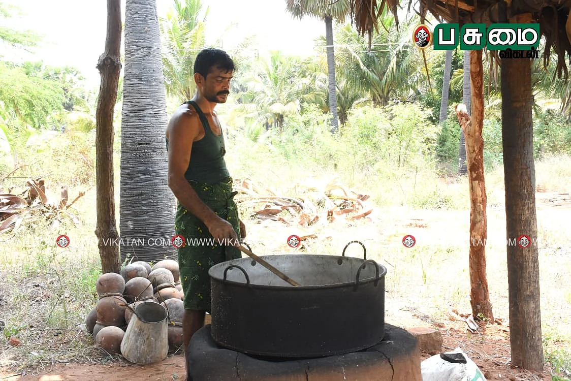 கருப்பட்டி உற்பத்தி