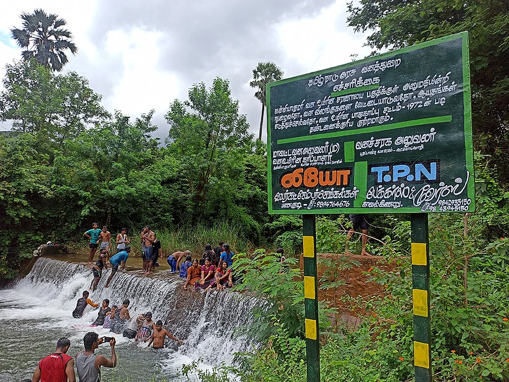 2K kids: குத்திரபாஞ்சான் அருவி! - நெல்லை மாவட்டத்தில் ஒரு மினி குற்றாலம்...