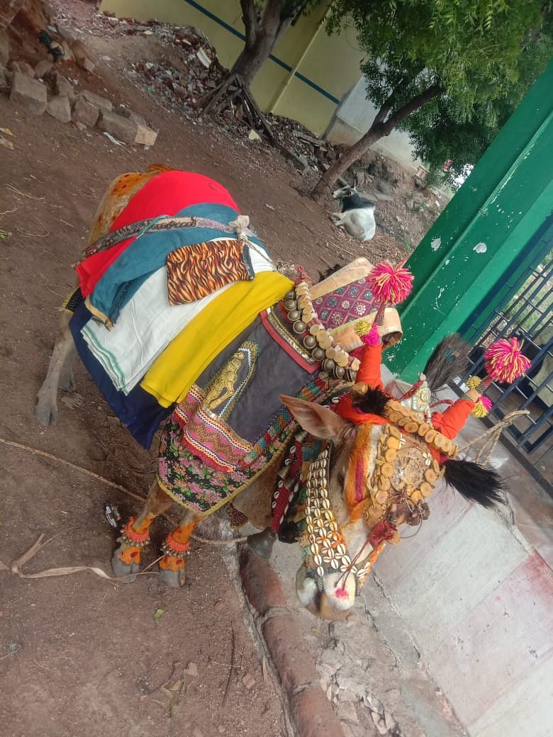 பூம் பூம் மாட்டுக்காரர்கள்