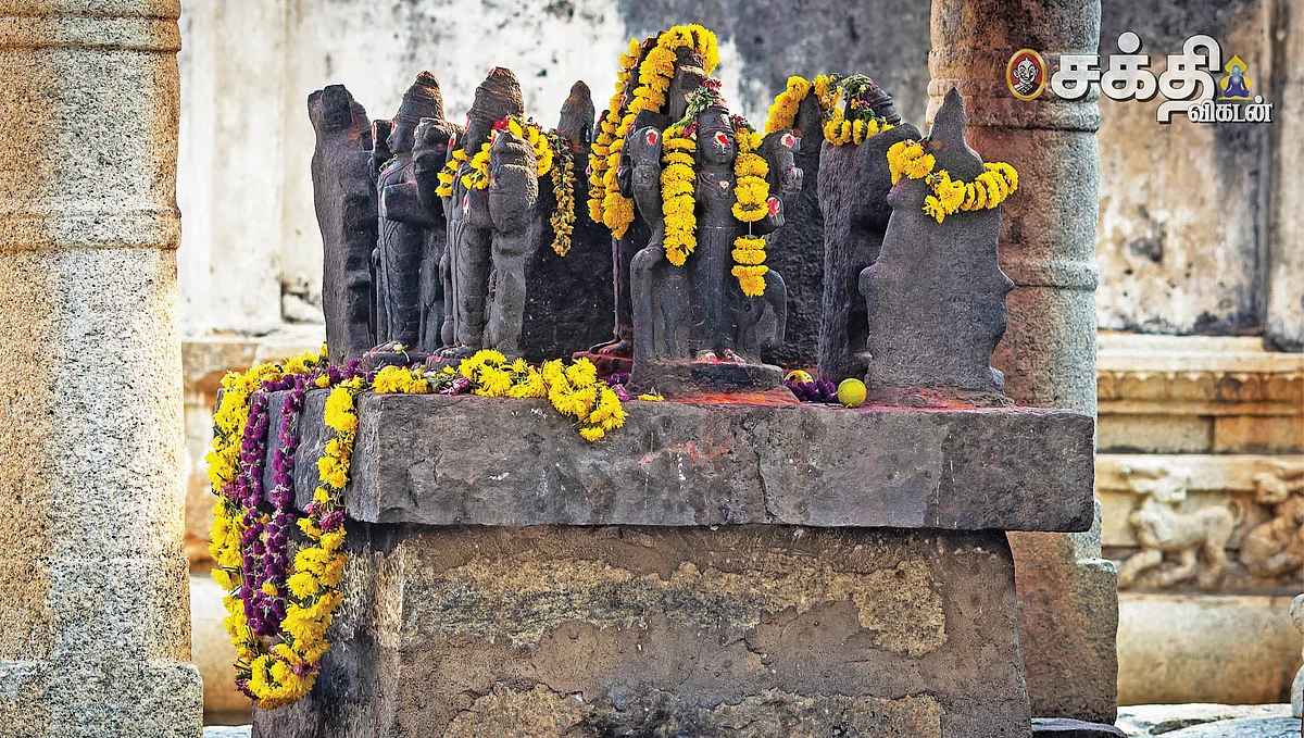 தோஷங்கள் தீர்க்கும் நவதானியங்கள்!