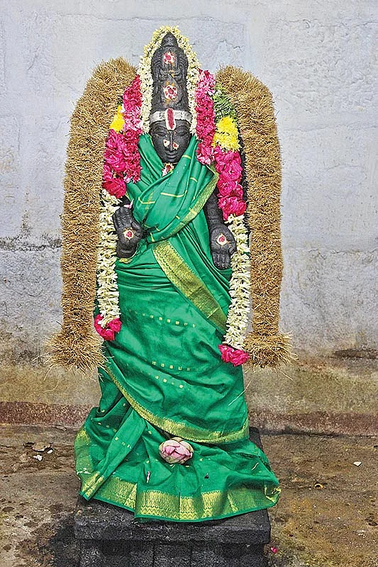 இளைஞர்கள் மீட்டெடுத்த சிவாலயம்!