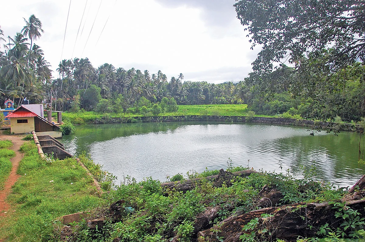 கோயில் திருக்குளம்