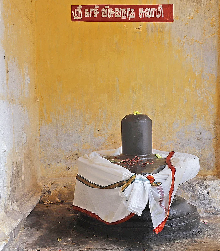 காசி விஸ்வநாதர்