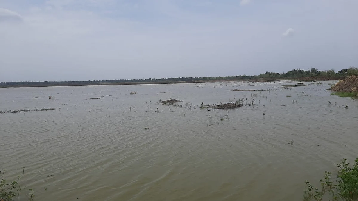துளசேந்திரபுரம் ஏரி