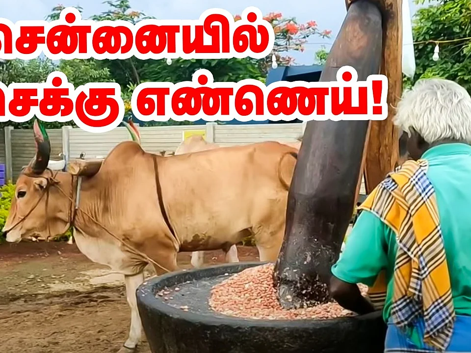சென்னையில் பாரம்பர்ய நாட்டுக் கல்செக்கு எண்ணெய்! | Cold Pressed Oil in Chennai