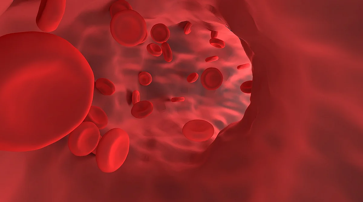 Blood (Representational Image)