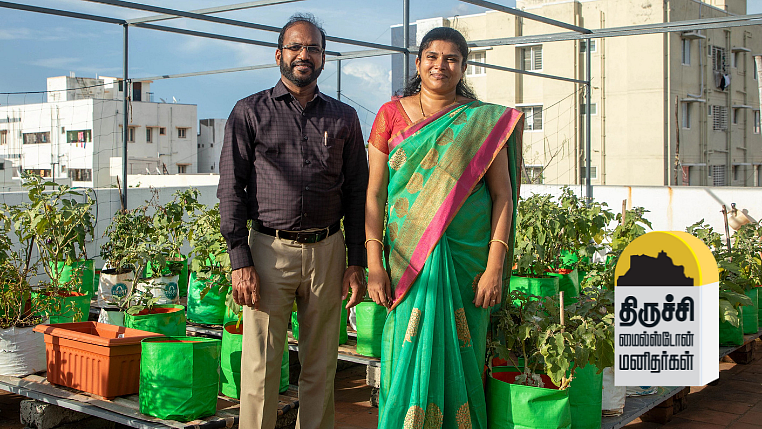 செந்தில் குமாரின் மாடித் தோட்டம்