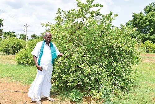 அந்தோணிசாமி