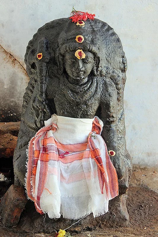 இளைஞர்கள் மீட்டெடுத்த சிவாலயம்!