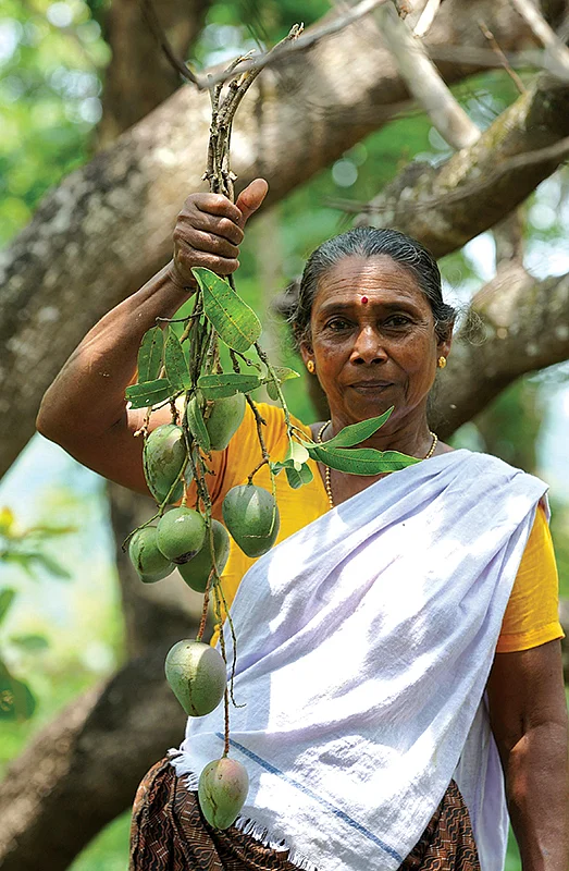 கூலி வேலை டு யூடியூப் பிரபலம்! - சமையலில் அசத்தும் கேரளத்து ஓமனா