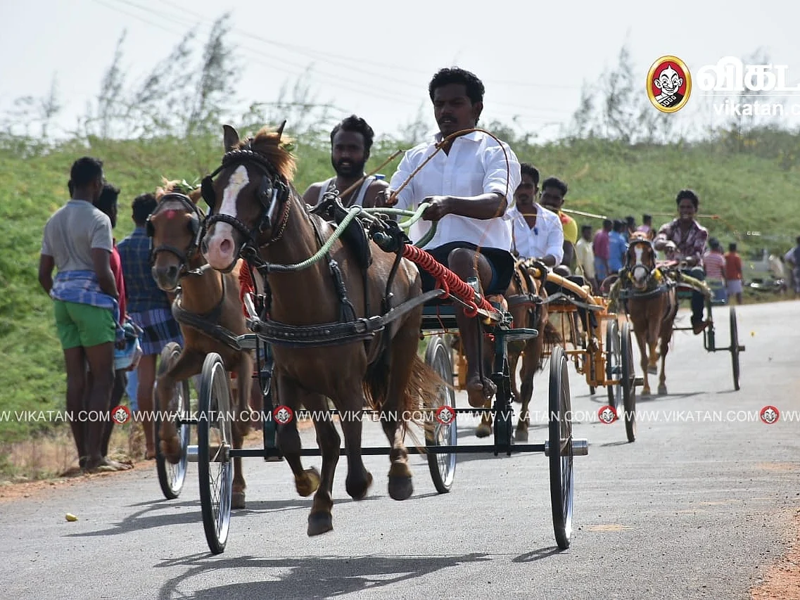 சீறிப்பாய்ந்த 64 காளைகள், 32 குதிரைகள்... தூத்துக்குடியில் களைகட்டிய முத்தாரம்மன் கோயில் திருவிழா!