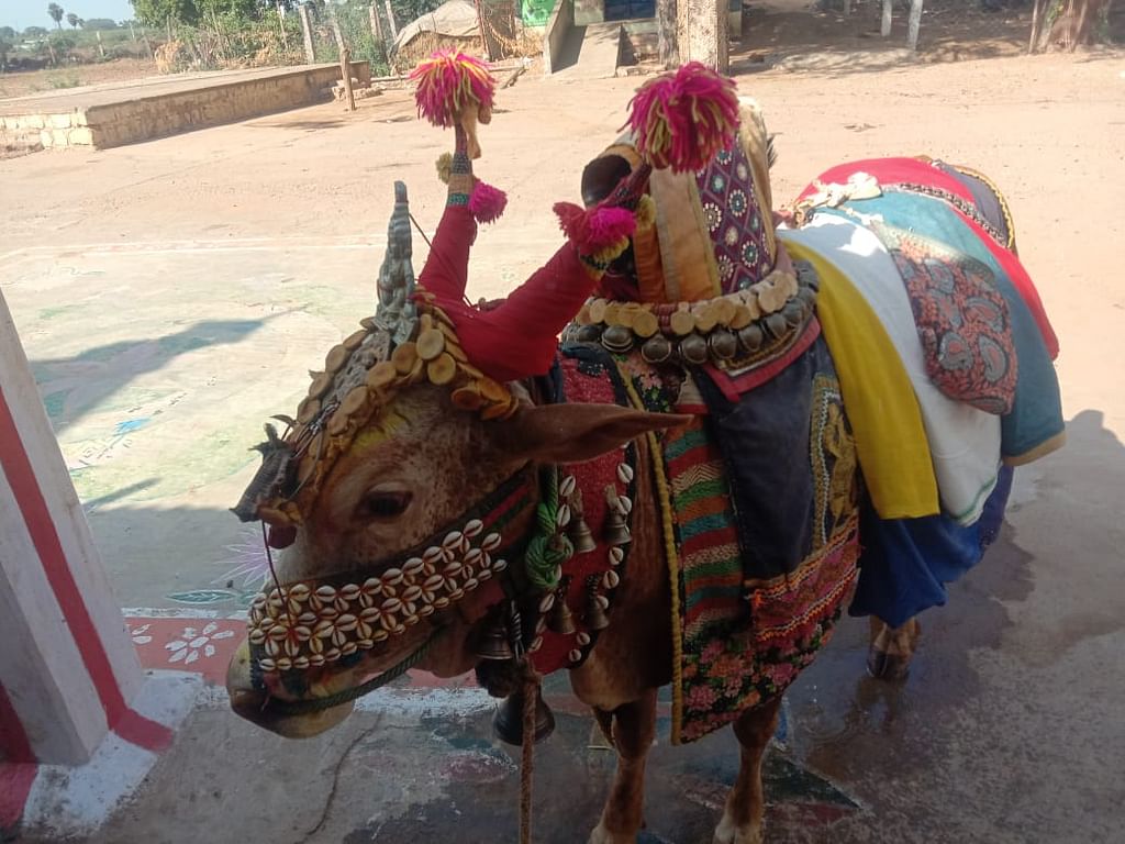 பூம் பூம் மாட்டுக்காரர்கள்