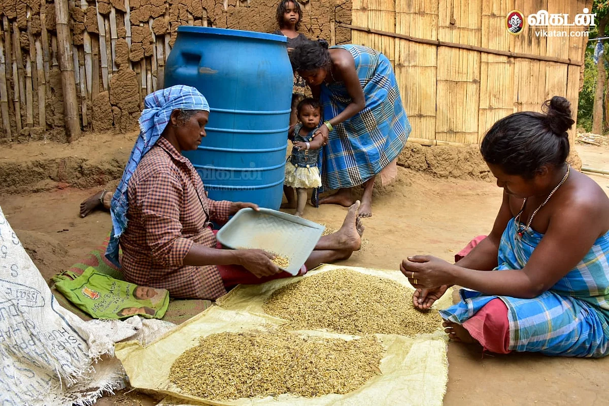 சிறுதானியங்களுடன் பழங்குடியினர்