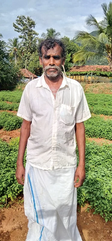 ஜேசு புண்ணியகோடி
