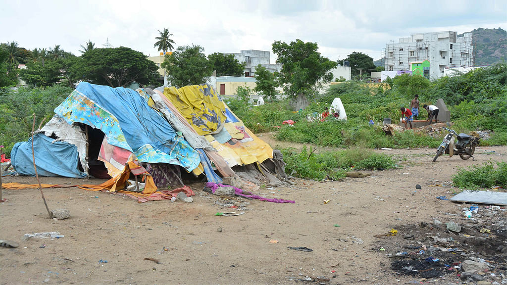 நாடோடிகளின் பெருந்துயரம்...