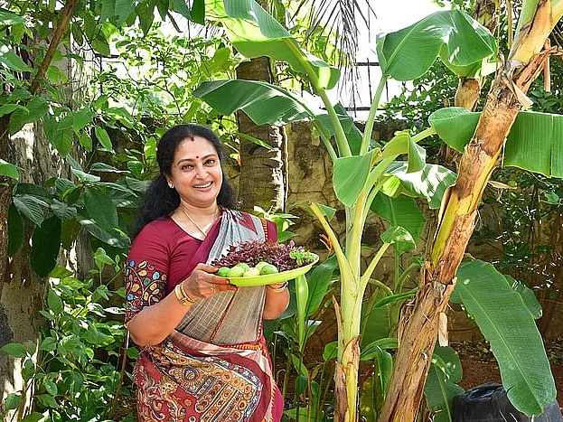 `தக்காளி முதல் டிராகன் ஃப்ரூட் வரை!' - நடிகை சீதாவின் மாடித்தோட்ட அனுபவம் - நட்சத்திரத் தோட்டம் - 4