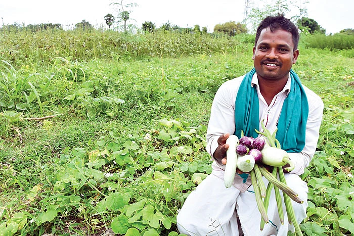 காய்கறிச் சாகுபடியில் கலியன்