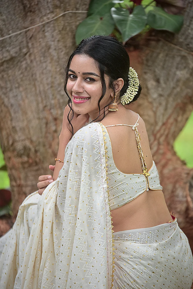 மிஸ்டர் மியாவ்